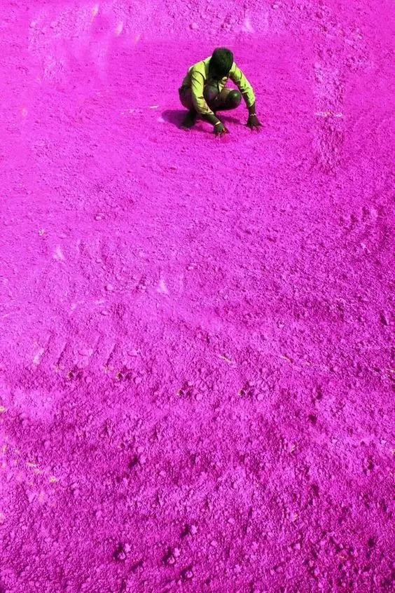 20180812_200357_003.jpg